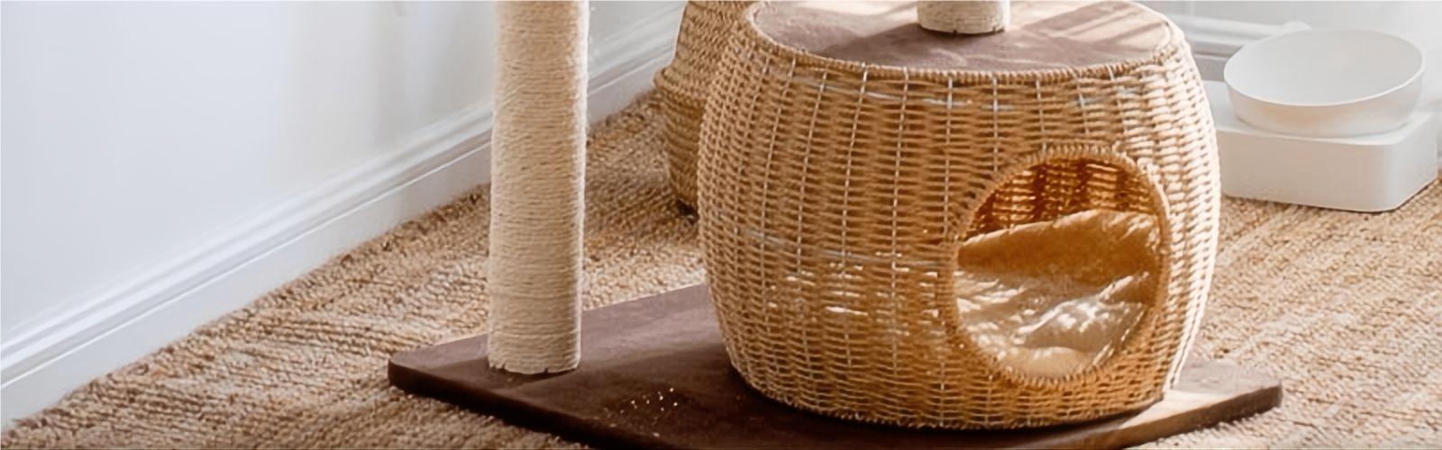 collection-banner-image
